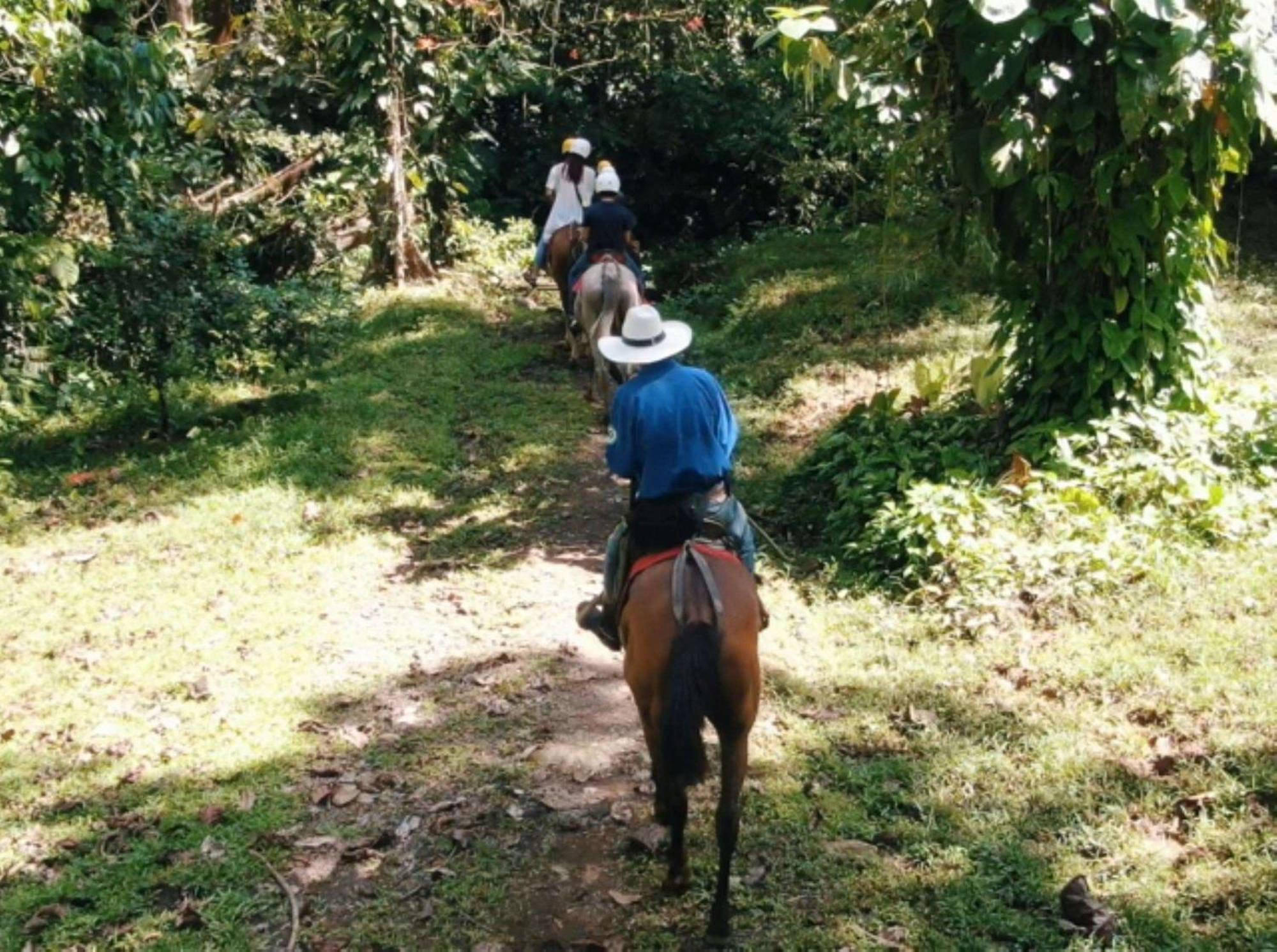 Best Western Hotel & Casino Kamuk Manuel Antonio Eksteriør bilde