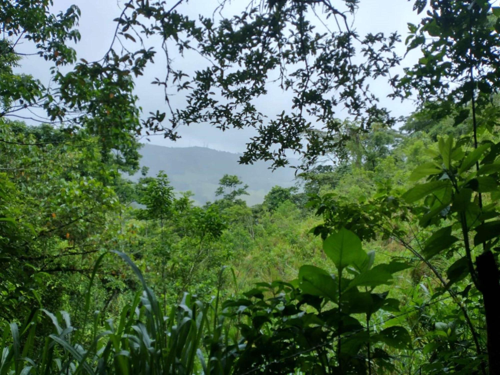 Best Western Hotel & Casino Kamuk Manuel Antonio Eksteriør bilde